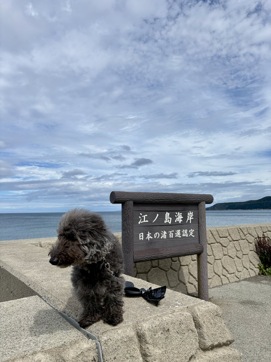 moja_style's tweet photo. 黒松内〜島牧村〜瀬棚町

過ぎゆく夏を堪能しに
『島牧村』へ

北海道の江ノ島と呼ばれる
島牧江ノ島海岸散歩し

昼食で瀬棚カレーを食し
てっくい海岸で昼寝

実にほのぼのした時間の過ごし方『今日も我が家は平和です』

#キャンピングカーの旅 
#島牧村 
#瀬棚カレー https://t.co/5jMivZUEE2