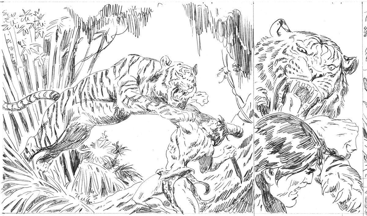 Benito_Gallego's tweet photo. WIP. Pencil detail from Episode #3888 of "The New Adventures of Tarzan."
Full Access to All strips for only $21.99/year at https://t.co/JUrlNbrrfI
#benitogallego #tarzan #edgarriceburroughs #roythomas #tiger #hero #comics #comicart #fantasy #danger #adventure #sequentialart https://t.co/KsFzJxstju