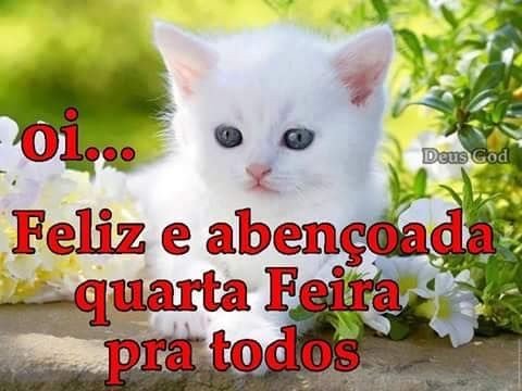 gatosviados's tweet photo. https://t.co/vOpEfEPa3k