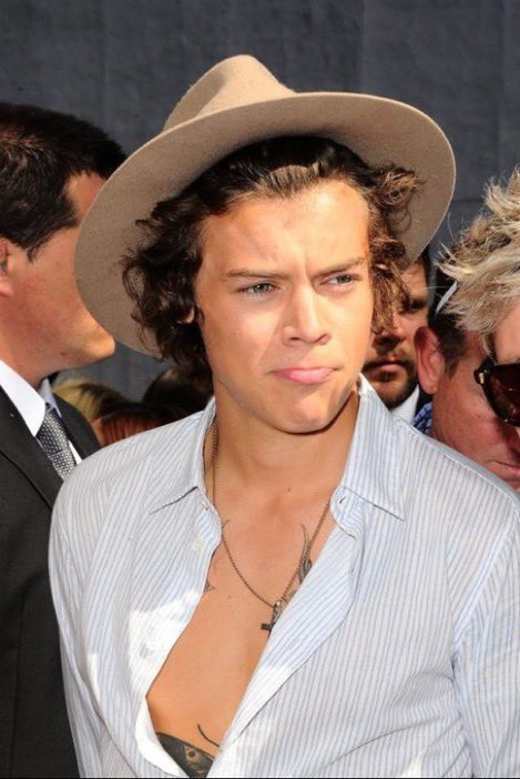 AusllyDirection's tweet photo. Frat Boy Harry is a literal fever dream https://t.co/4b2XSbt1VY
