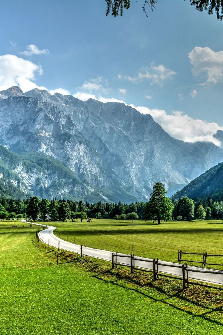 onllycutestuff's tweet photo. Slovenia https://t.co/EmFaUvggsn