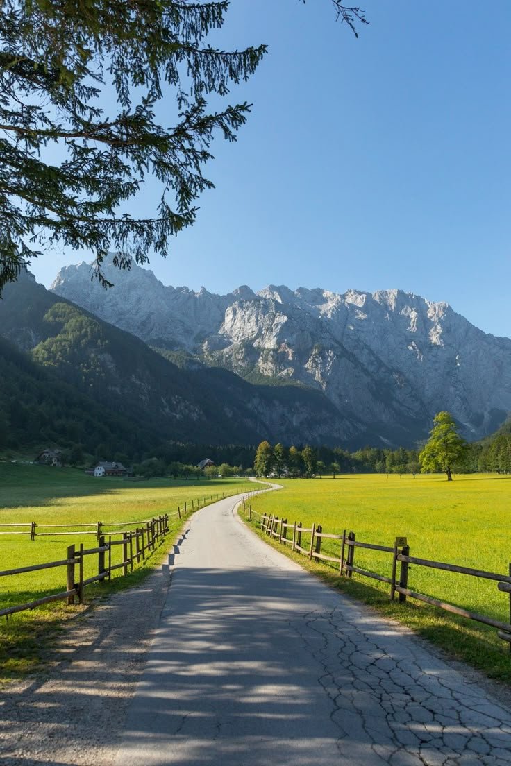 onllycutestuff's tweet photo. Slovenia https://t.co/EmFaUvggsn