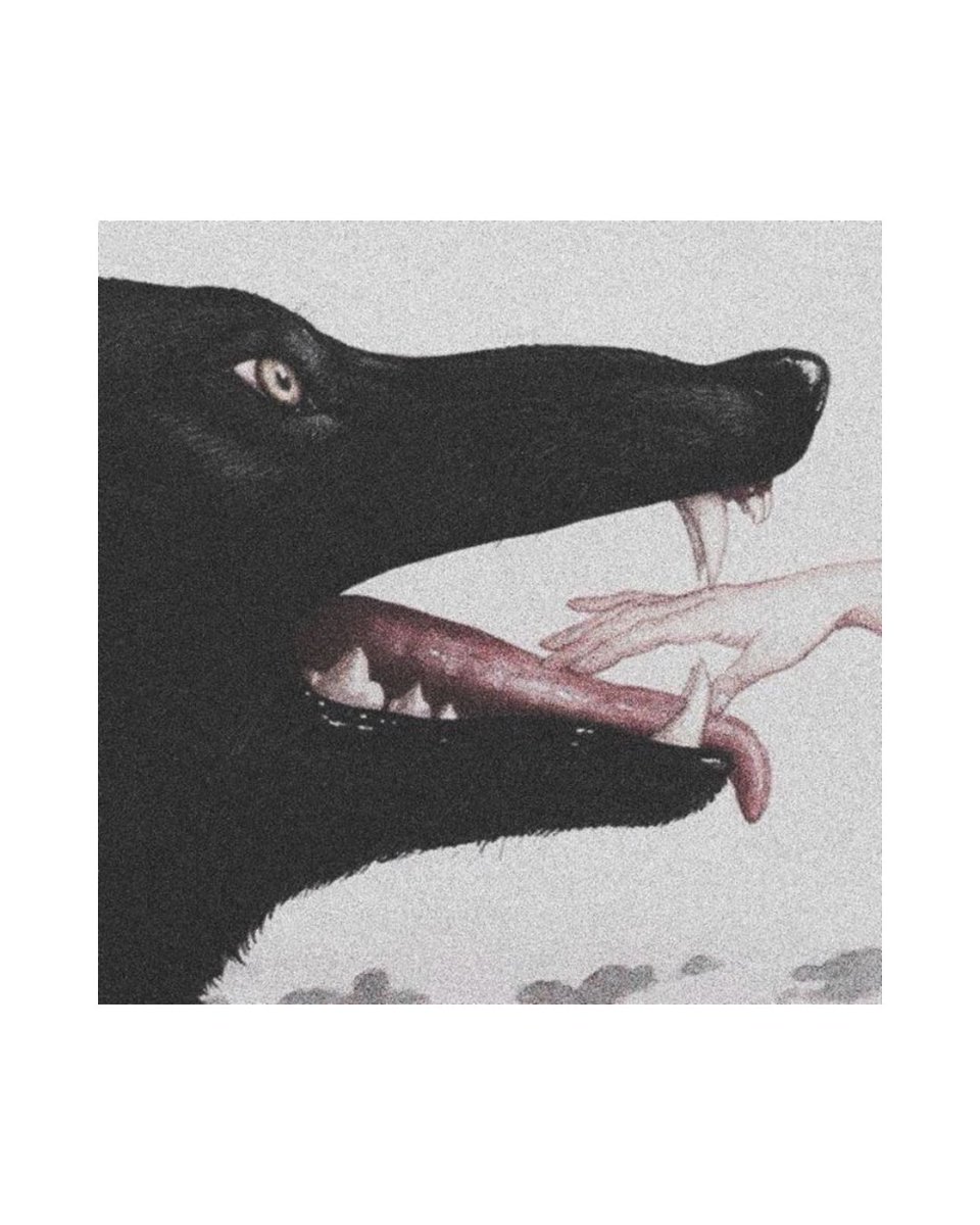 imaginary_frd's tweet photo. chapter 1 — this is a gift, it comes with a price (who is the lamb and who is the knife?) 

☾ 🐺🥟
☾ rated M, 24.6k words
☾ werewolves au, religious themes, miscommunication, whump
☾ link &amp; tags below! https://t.co/2JSBhL6xx4