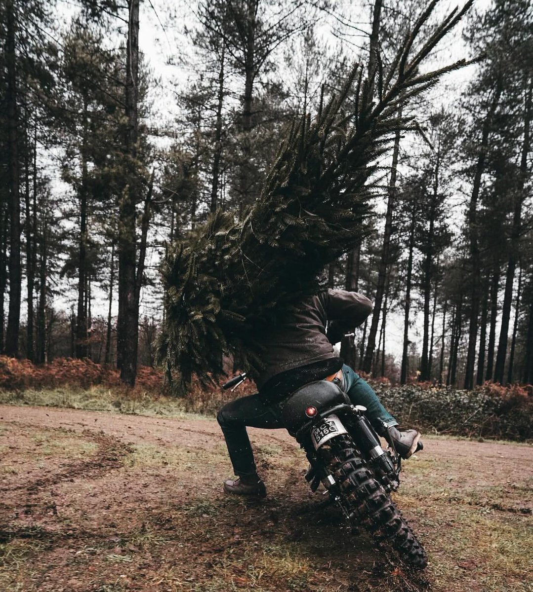 GeorgettaShf's tweet photo. That time of year already. https://t.co/X2zwHfmzuE