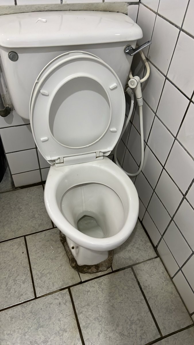 Talk2mccoy's tweet photo. If you walk into your girlfriend’s house I see the toilet 🚽 sits like this , what does it mean?

I’m confused guys https://t.co/oP1Q7r8GDM