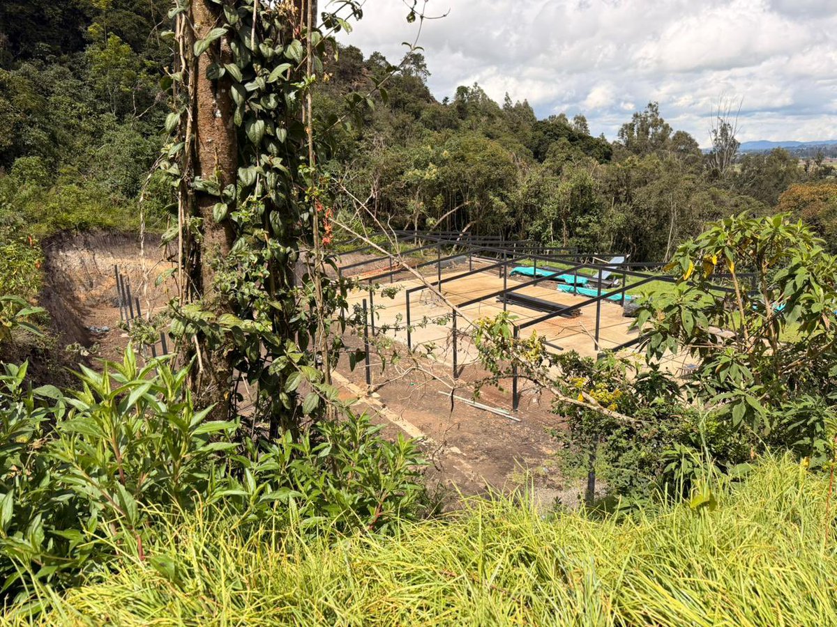 Alfred_Balle's tweet photo. ¡Proteger el agua también significa proteger los ecosistemas que la regulan!

Por eso, en el Cerro Majuy, en Tenjo, desde la @CAR_Cundi impusimos una medida preventiva para suspender actividades de tala, remoción de cobertura vegetal e intervención del suelo que presuntamente estaban generando afectaciones en una zona protegida de la cuenca alta del río Bogotá.

Seguiremos ejerciendo vigilancia y control para garantizar la protección de estos ecosistemas estratégicos y el cumplimiento de la normatividad ambiental.