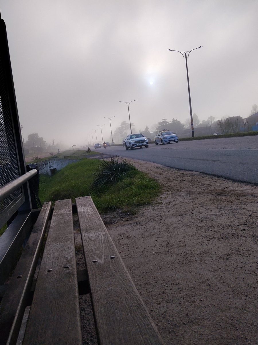 francomont18524's tweet photo. @AlmaVickyy63843 yendo a repetir ese proceso 🥲 https://t.co/jzVN8vdIrw