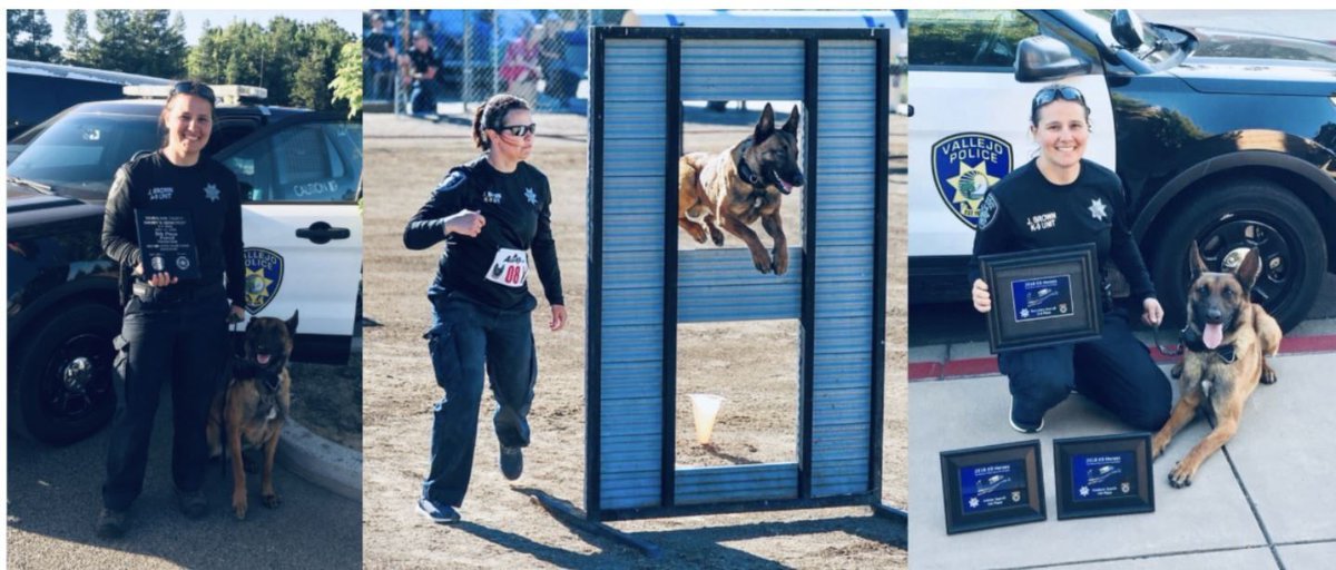 ppak9org's tweet photo. Rest easy, K9 Loki of the Vallejo Police Department, CA. 🐾 Loki served VPD faithfully before retiring. Thank you for your service. #PPAK9 #K9 #K9Memorial #RestEasyGoodBoy https://t.co/nMK8rHndn5