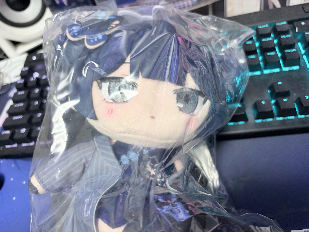 Xe_No__'s tweet photo. キサキぬい https://t.co/6egoE6RZWl
