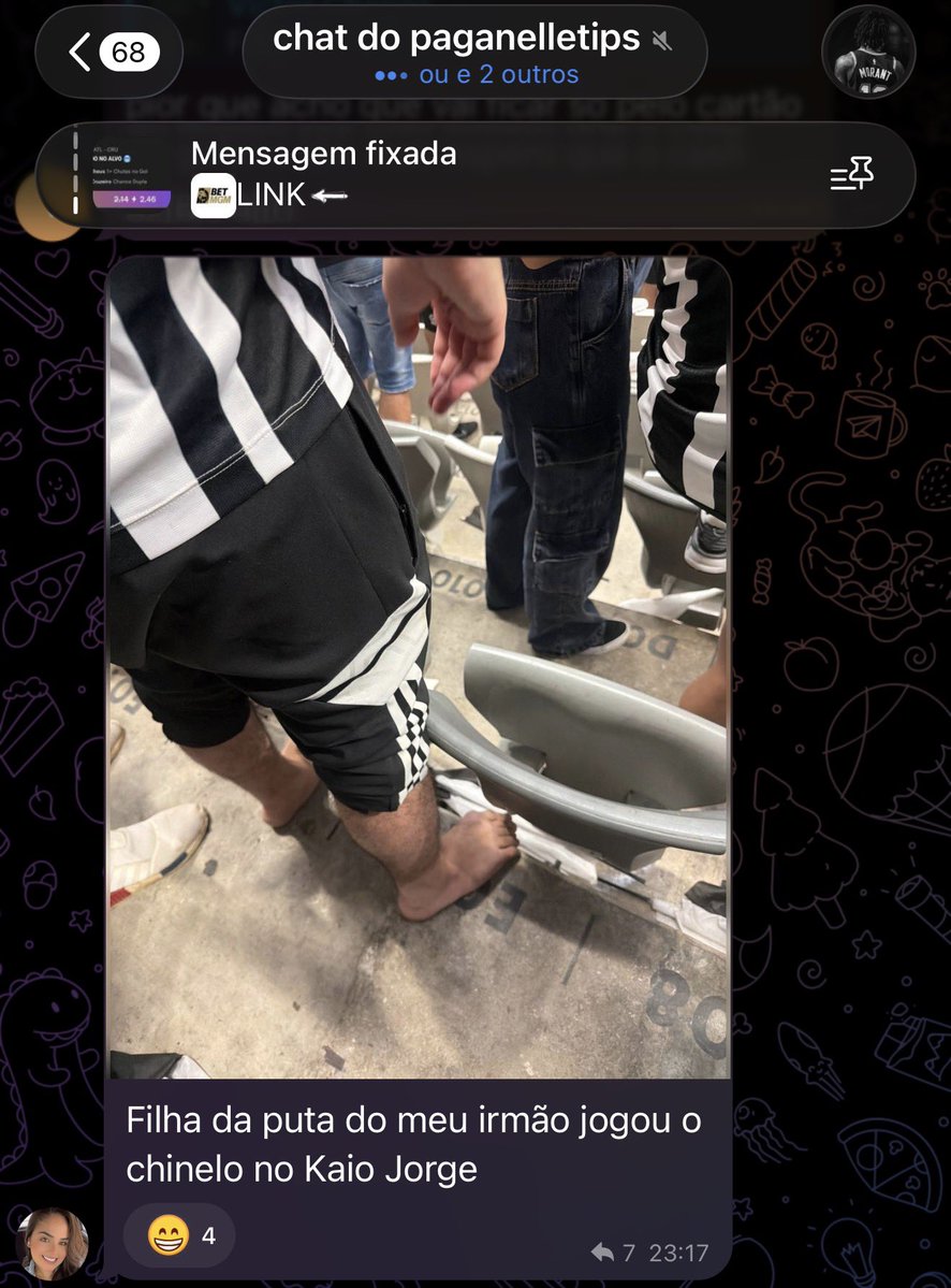 paganelletips's tweet photo. meus dias são mais felizes depois desse chat, só tem totó das ideia https://t.co/3TkkA2bsJZ