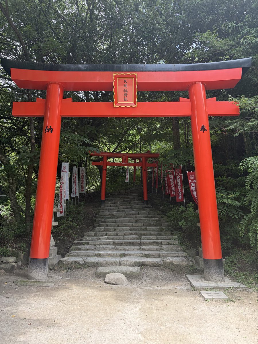 reshigen's tweet photo. 今、どうしても「この先」を視ておきたい方がいます。

まだ、誰なのかは分かりません。

ただ今、
何かがうまくいっていない方というより、

「このままでは終わりたくない」

そんな想いを抱えている方です。

今日は、

今の悩みがなぜ続いているのか。
この先どこで流れが変わるのか。
今の自分には見えていない未来に何があるのか。

そこまで深く視ます。

鑑定を受けたあと、
ただ未来を知って終わるのではなく、

「今の自分が、何を変えればいいのか」

そこまで持ち帰っていただきます。

全員ではありません。
先着順でもありません。

ここで縁が強く触れた方だけ。