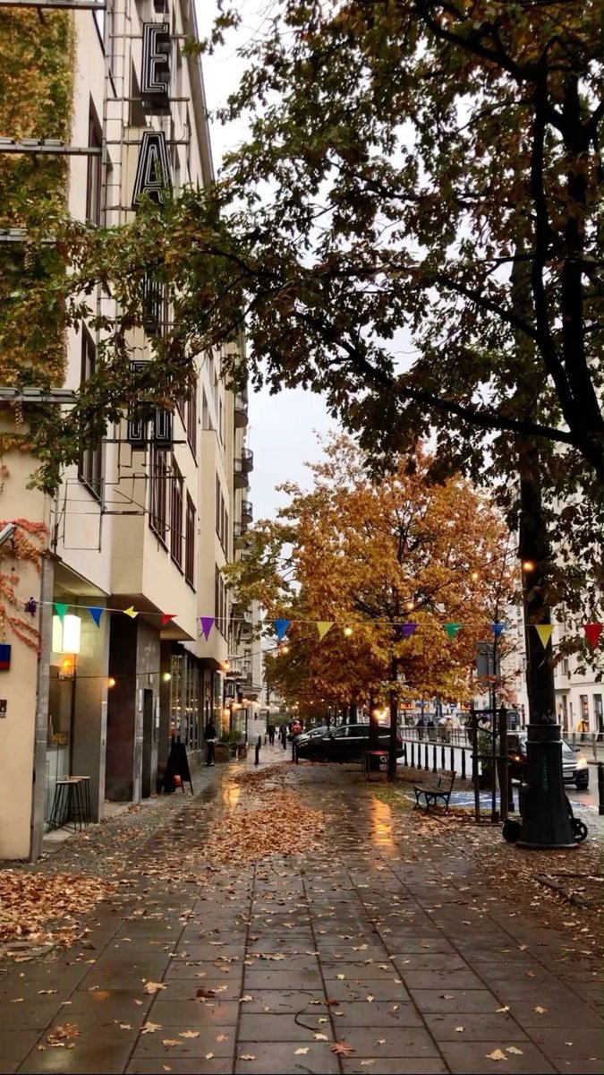 naturebeauty760's tweet photo. Autumn in Paris, France 🇫🇷 https://t.co/9LUr9PtjEg