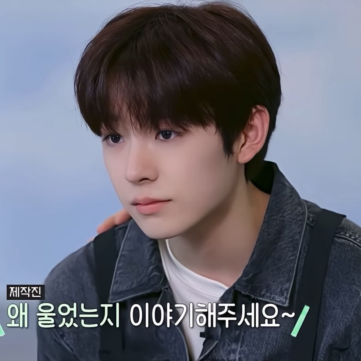 adoryushi's tweet photo. <고양이 연습생                         고양이 데뷔조> https://t.co/3X05K3Zgoa