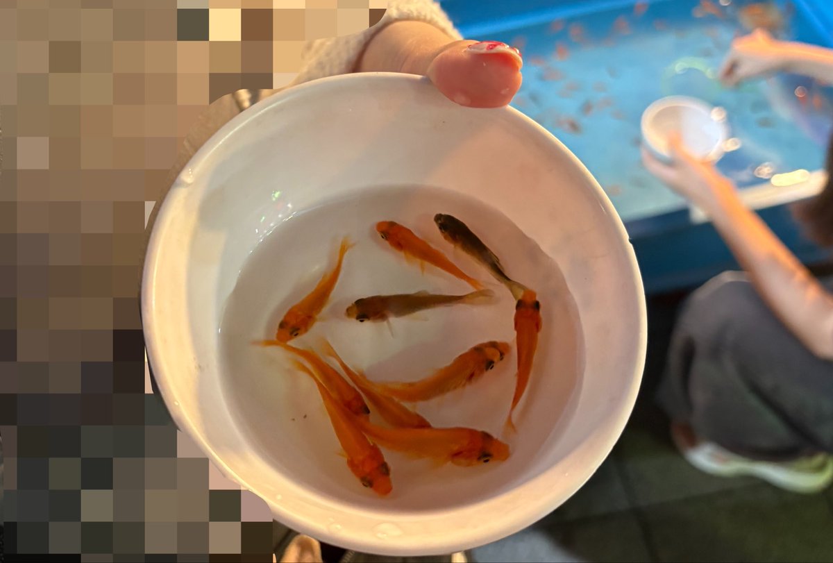 SAYAKA_okochi's tweet photo. 9月になったので改めて自己紹介！

💮大河内涼花(おおこうちさやか)
💮ﾌﾘｰﾗﾝｽの新人声優
💮穏やかで優しい雰囲気が得意！
💮5/17生まれの牡牛座/AB型/ENFP
💮特技:金魚すくい、利きビール↩︎ɴᴇᴡ
💮趣味:作り置き、読書、散歩
💮日本酒とビールが好き
💮Vﾗｲﾊﾞｰ3年目(Me2所属)

 #ぴぃTA https://t.co/rniZHHJISz