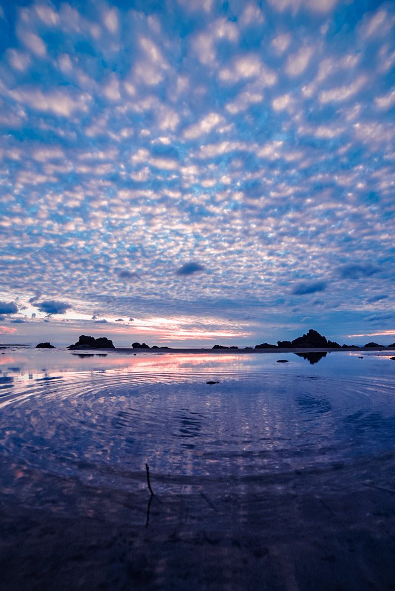gajumaruu_s's tweet photo. 揺れる水面に夕暮れを閉じ込めて https://t.co/JjhUsVYrND