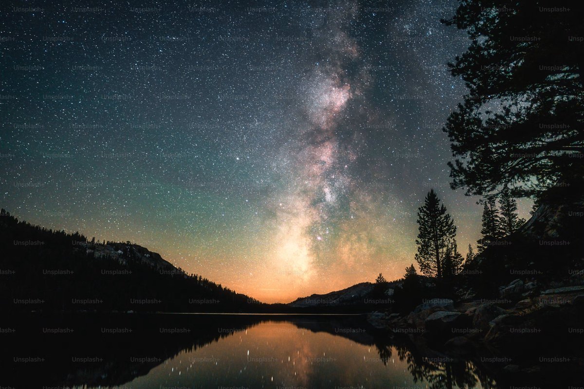 Neha_Border's tweet photo. May the stars brighten your dreams and bring peaceful sleep. 

#GoodNight #StarryNight #Peace https://t.co/bqEPSjHCOe