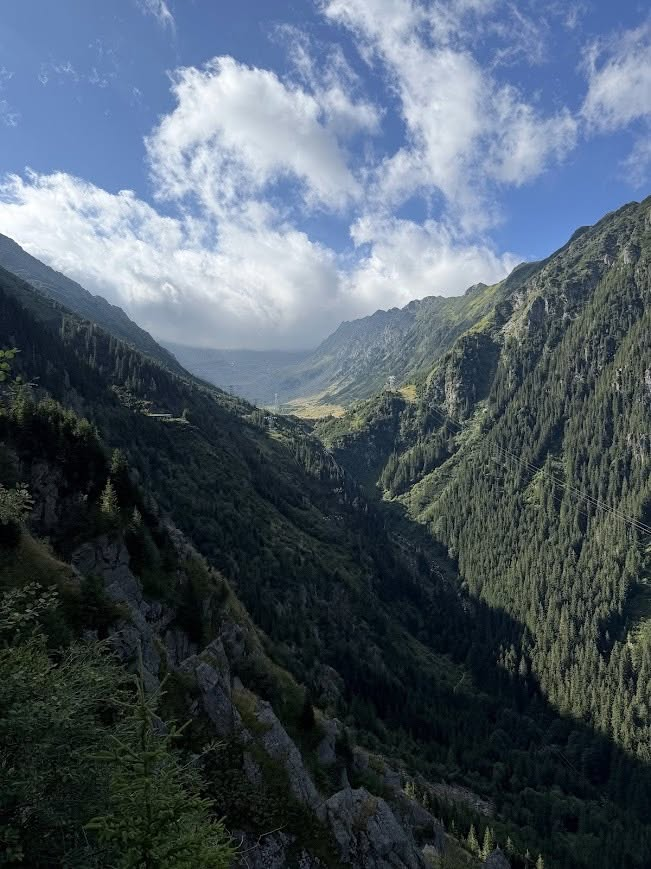 KamilCaus's tweet photo. 🇷🇴🧳Rumunia to chyba ostatnia, wciąż nieodkryta w naszym kraju perła turystyczna. I nie mówię o skali regionalnej, a co najmniej kontynentalnej. Europejskiej.

Rumunia ma wszystko. Przepiękną przyrodę, niebywałą, do tego zróżnicowaną i świetnie zachowaną (choć niekoniecznie odremontowaną) architekturę, światowej klasy zabytki, a nawet godne uwagi pozostałości pochodzące wprost ze starożytności (w tym z czasów starożytnego Rzymu). Do tego proponuje odwiedzającym ciekawą ofertę kulinarną i alkoholową (wina, palinki, piwa) oraz oczywiście oryginalną
kulturę i tradycję.

Zajmujące mniej więcej 1/3 kraju (sic!) Karpaty są oszałamiające. Po prostu. I mówię to bez cienia przesady. 🗻🚠

Przejazd trasą Transfogaraską czy Transalpiną to doświadczenie zapierające dech w piersiach. Delta Dunaju (wschodnia część kraju, niedaleko brzegów Morza Czarnego) to jeden z najwspanialszych rezerwatów przyrody na Starym Kontynencie. Świnoujścianom (takim jak ja) skojarzyć się ona może ze wsteczną deltą Świny, przy czym jest ona oczywiście znacznie, znacznie większa. 

Znajdujący się na zachodnich rubieżach kraju – na pograniczu z Serbią, w dolinie Dunaju – Park Narodowy
Żelazna Brama to po prostu przyrodniczy cud świata.  Ci, którzy mniej interesują się przyrodą, a bardziej np. inżynierią, zachwycą się tam choćby największą w kraju elektrownią wodną (jedną z wielkich inwestycji czasów komunistycznych).

🏰Fani klasycznych zabytków znajdą w tym kraju natomiast świetnie zachowane średniowieczne miasta (Sighișoara), majestatyczne zamki (stojący w Hunedoarze Zamek Korwinów to wyciągnięta wprost z legend arturiańskich czy powieści J.K. Rowling
średniowieczna twierdza, strzelająca w niebo ostrymi, smukłymi wieżami), unikalne kościoły warowne (na czele z Viscri), w których przed najazdami od XII w. bronili się mieszkający tam przez stulecia Sasi, czy też pozostałości rzymskich fortyfikacji z czasów wojen, jakie imperium prowadziło niecałe dwa milenia temu z żyjącymi na terenach dzisiejszej Rumunii Dakami. O dziesiątkach pomniejszych fortalicji i cytadel górujących nad siedmiogrodzkimi miastami i miasteczkami (takich jak Deva, Râșnov, Rupea czy Poenari), czy malowniczej zabudowie transylwańskich miasteczek nawet nie wspomnę.

Gotyckie katedry? ⛪️

A proszę bardzo. Czarny Kościół w Braszowie (który po niedawnej restauracji i oczyszczeniu jego ścian nie jest już, co prawda czarny) czy Kościół Świętego Michała w Klużu (stolicy Transylwanii) to dwa z wielu, naprawdę wielu przykładów tego stylu.

A może wolelibyście wypić kawę na rynku typowego, środkowoeuropejskiego miasta? W takim razie zapraszam do Sybina czy wspomnianego już Braszowa (tu w komplecie do kawy dostaniecie jeszcze widok na wzgórze Tâmpa, u którego stóp położone jest miasto). Miłośnicy nieco nowszej, ale liczącej sobie ponad sto lat architektury z końca XIX i początku XX w. rozpłyną się
nad art nouveau'owską zabudową Oradei (która po trwającym przez ostatnie kilkanaście lat remoncie rzuca na kolana) czy niezliczonymi, rozsianymi po całym kraju gmachami wzniesionymi w stylu rumuńskiego odrodzenia (stanowiącego brawurowe połączenie form bizantyjskich, osmańskich, późnorenesansowych i barokowych).

Do tych nowszych obiektów dodać trzeba też koniecznie pałac królewski w Sinai (a właściwie kompleks pałacowy, bo składa się on z dwóch kluczowych obiektów – Pałacu Peleș i stojącego nieopodal mniejszego pałacyku Pelișor). Fani turpistycznego brutalizmu i monumentalnego „socrealizmu” (w wersji karpackiej) zachwycą się architelturą dwumilionowego Bukaresztu. Dość wspomnieć choćby nie tylko o samym słynnym na cały świat Domu Ludu (czyli dzisiejszym Parlamencie Rumuńskim, będącym trzecim - a do niedawna drugim - największym gmachem administracyjnym świata, wzniesionym na polecenie Nicolae Ceaușescu), ale też o całym towarzyszącym mu założeniu architektonicznym na czele z Bulwarem Zjednoczenia, który miał swym rozmachem rzucić wyzwanie paryskim Polom Elizejskim.

Wszystko, co tu wymieniłem, to zaledwie początek. 

Nie wspomniałem nawet jeszcze ani o największych w Europie wulkanach błotnych (we wschodniej, czy może środkowo-wschodniej Rumunii), wybrzeżu Morza
Czarnego, obfitujących w meczety tatarskich miastach i miasteczkach Dobrudży, ani chociażby o kopalni soli w Turdzie. Ta ostatnia nazywana jest niekiedy rumuńską Wieliczką, choć porównanie to nie jest do końca trafne. Obydwie kopalnie są bowiem klasą samą dla siebie i rywalizują (czy raczej wygrywają, bo trudno dla nich o konkurencję) w zupełnie innych kategoriach. O ile nasza solna perełka to pełna małych, misternych arcydzieł – rzeźb, płaskorzeźb, żyrandoli i komnat – podziemna katedra sztuki, to Turda jest po prostu gargantuicznym, przypominającym skryty głęboko pod powierzchnią ziemi kosmodrom czy halę produkcyjną, w którym / w której z łatwością zmieściłby się – uwaga – 35-kondygnacyjny blok mieszkalny (gdyby bloki takie w Polsce powstawały). Na dnie 112-metrowego szybu znajdziecie też jezioro, po którym można sobie popływać łódkami. Nie mówię już nawet o ulokowanym nieopodal jego brzegów diabelskim młynie (tak, podziemnym).

Nie pisałem też jeszcze o innym wyjątkowym miejscu – wiosce Geamăna, położonej między Klużem i Alba Iulią (tę ostatnią miejscowość też warto zresztą odwiedzić, choćby ze względu na wielką cytadelę Alba Carolina, którą znajdziecie w samym centrum miasta). Stanowi ona (Geamăna, nie Alba Iulia) przykład jednej z największych w Europie katastrof ekologicznych wywołanych przez człowieka.☣️ 

Miejscowość ta w latach 70/80 ubiegłego wieku zamieniona została na składowisko odpadów powstałych w trakcie eksploatacji lokalnych złóż miedzi, a następnie zalana przez odprowadzaną z kopalni wodę i szlam. Odwiedzający to miejsce czeka surrealistyczny widok. Oto nad trójbarwną, zielono-miedziano-szarą taflą powstałego w efekcie prac górniczych toksycznego jeziora do dziś wznosi się fragment strzelistej, typowej dla Siedmiogrodu wieży wiejskiego kościoła, która przypomina o tym, że nie tak dawno temu żyli tu jeszcze ludzie.

Rumunię, która leży przecież tak blisko naszych granic, warto poznać, odkrywać i zwiedzać. Szczególnie że Polacy są tam naprawdę lubiani. Rumuni – o czym przez zupełnie odklejone od rzeczywistości, krzywdzące stereotypy często nad Wisłą nie wiemy – to bowiem jeden z tych narodów Europy, które 🇵🇱Polskę i Polaków darzą szczerą sympatią.