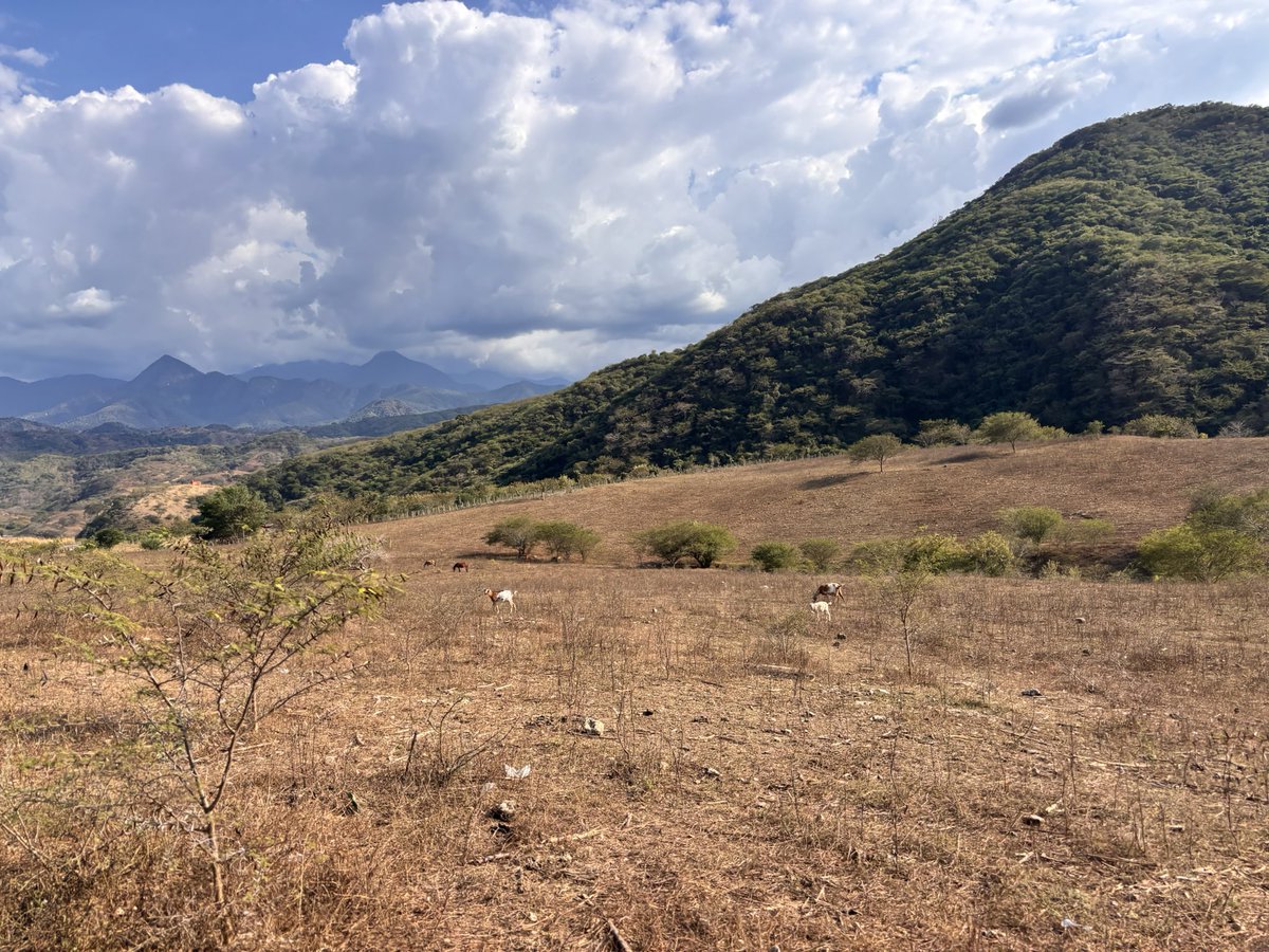 ilovearbiters's tweet photo. i miss mexico so much, being in a remote village that isn’t even on streetview was such an unforgettable experience that i would trade everything for just to experience again https://t.co/ywIZgISl0b