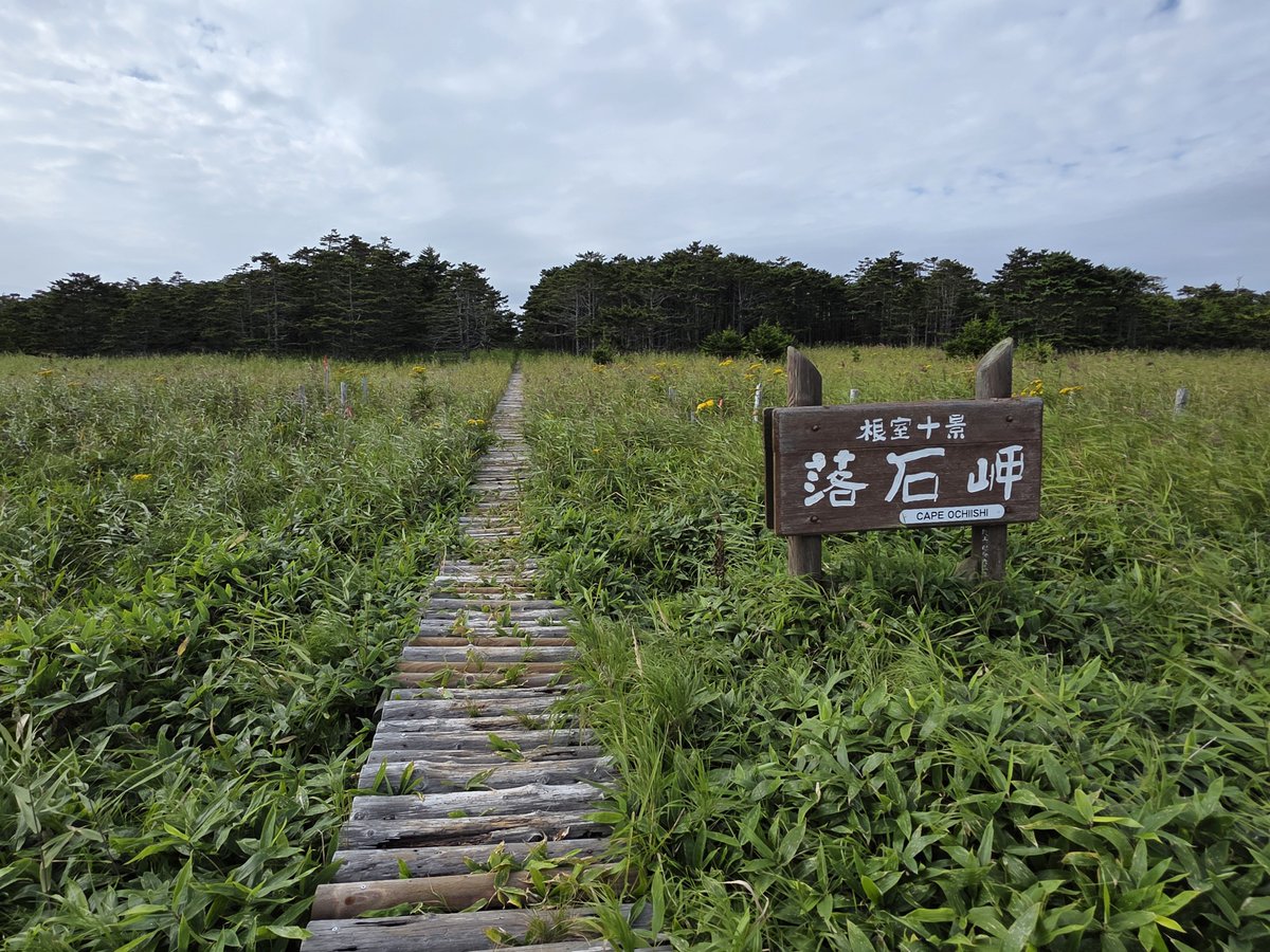 shunittmistake's tweet photo. 歩いたかいあって、
素晴らしい景色を望めました🤗
きのうの尻羽岬といい、
今回はバイク降りてから
結構歩く場所ばかりを
選んでしまいました‼️
#北海道ツーリング https://t.co/mSqQ8jFZce