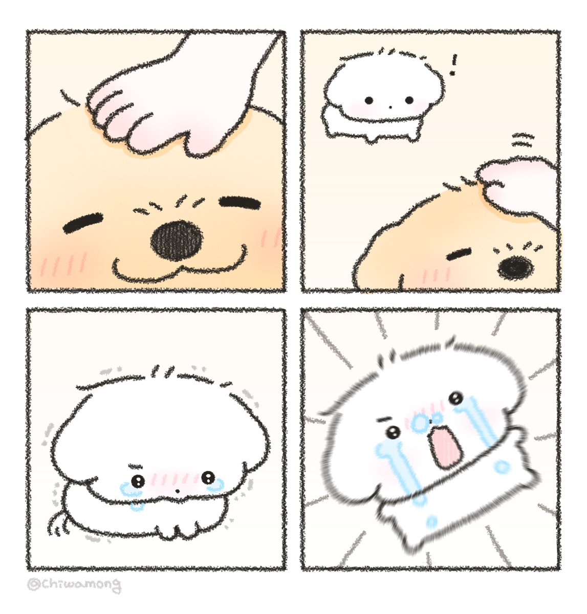 chiwamong's tweet photo. 🐶💢 https://t.co/H5MfoqXklz