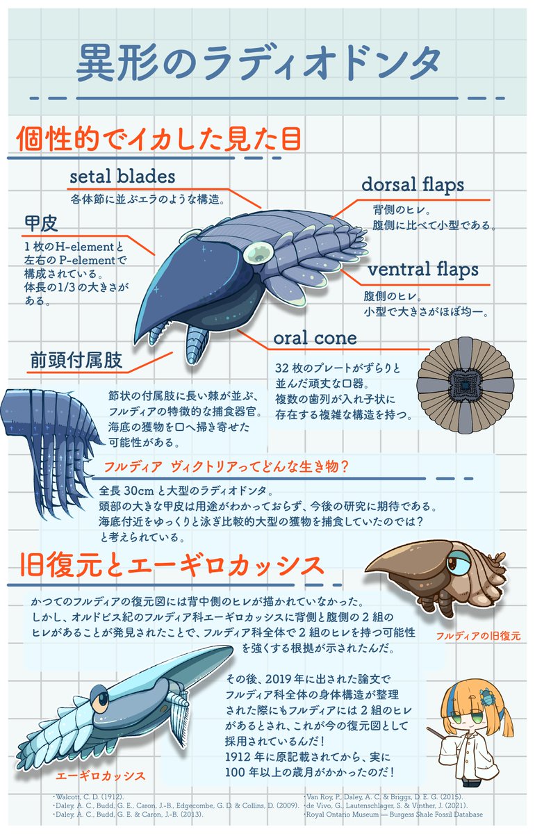 mirokunn2224's tweet photo. #Cambrian #illustration #paleoart #イラスト

巨大な甲皮が最高なラディオドンタ、フルディア！
フルディア科を代表する大人気なラディオドンタだ！ https://t.co/sR9848i2Za
