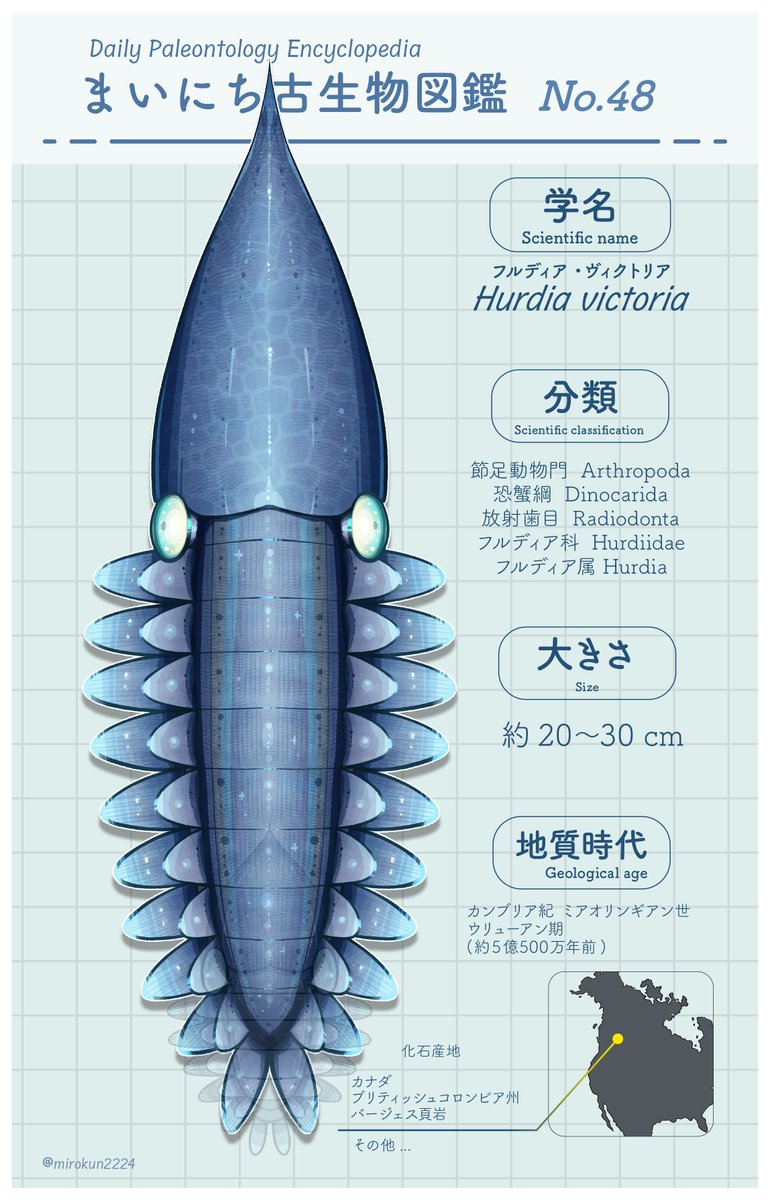 mirokunn2224's tweet photo. #Cambrian #illustration #paleoart #イラスト

巨大な甲皮が最高なラディオドンタ、フルディア！
フルディア科を代表する大人気なラディオドンタだ！ https://t.co/sR9848i2Za