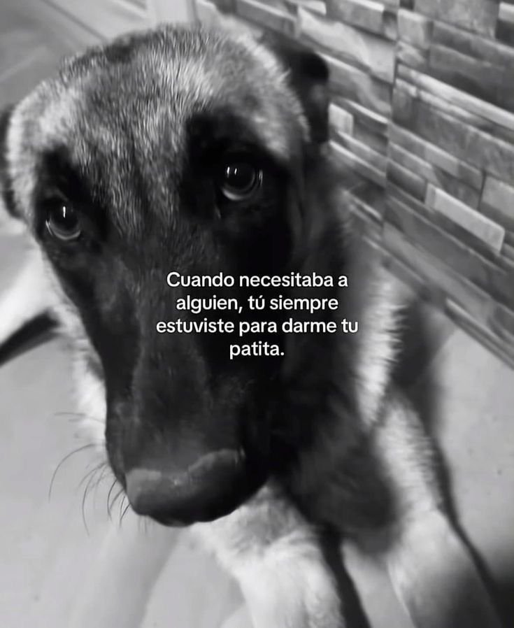 rey_latino33087's tweet photo. https://t.co/czguMqkDP8