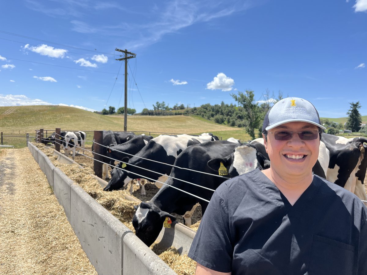 FoundationFAR's tweet photo. @FFARFellows  Mostafa Kamyabi is 'Clearing the Air' on wildfire smoke's effects on dairy cattle and dairy farmers.

Amidst another devastating fire season across the American West, and Canadian fires that blanketed Eastern dairy regions this summer, this research is more important than ever.

"My research at the @uidaho  focuses on understanding how wildfire smoke affects respiratory health, immune responses, and metabolic function in dairy cattle.

At a milk price of $0.44 per kg, this corresponds to an average estimated revenue loss of ~ $0.71 per cow per day. For a 1,000-cow herd, this translates to approximately $10,000 in total milk revenue losses over two weeks."

https://t.co/jsZjGtXsaP