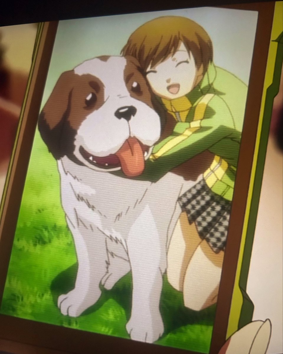 Nico_ganaaa's tweet photo. "Please add Aika from the persona 4 anime and give her a social link!" 

Persona 4 anime this, Persona 4 anime that. I just wanna see Chie's big ass dog. https://t.co/k71XTLvOVU