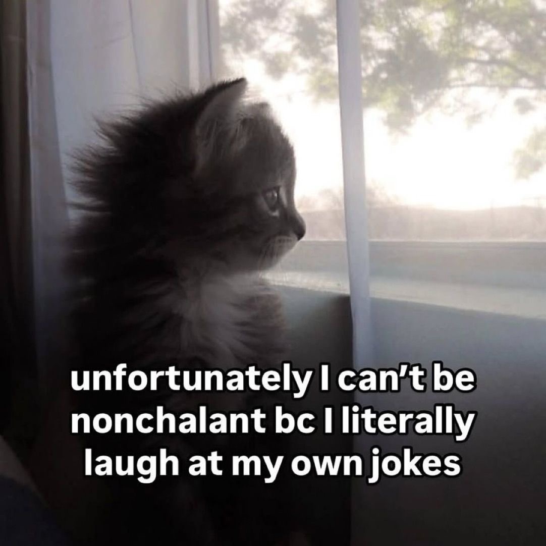 sillymeow4u's tweet photo. https://t.co/ge8izKFsKc