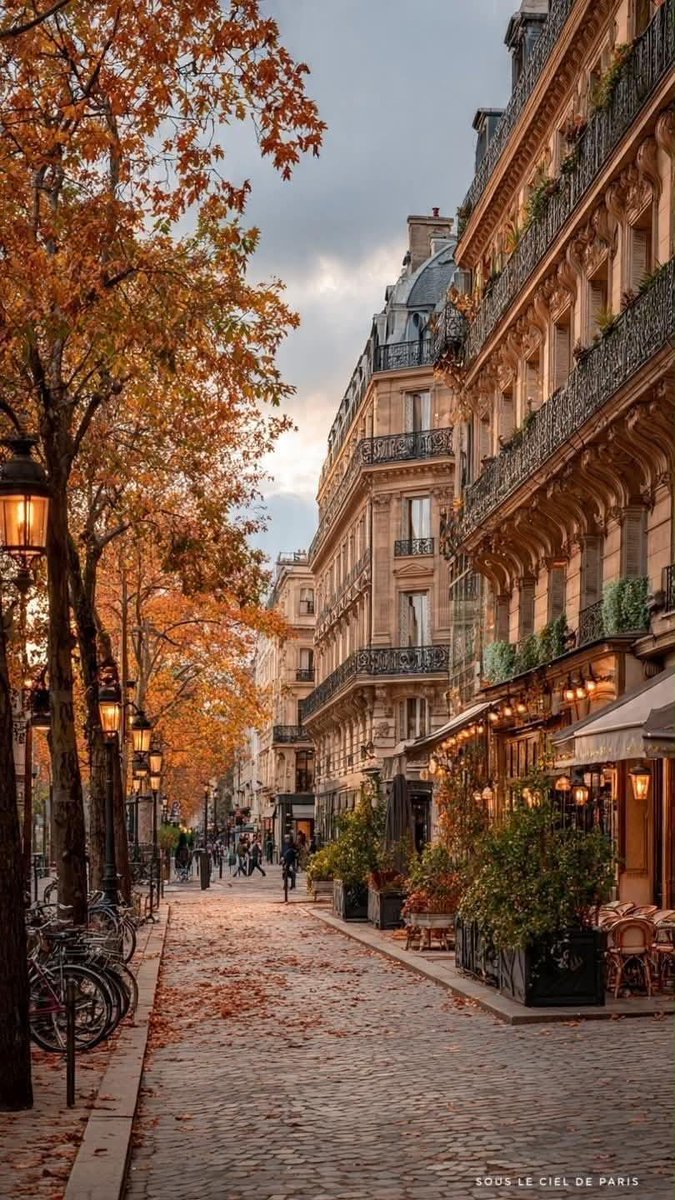 ____flowers__'s tweet photo. Autumn in Paris, France 🇫🇷 https://t.co/6BAthCNuRD