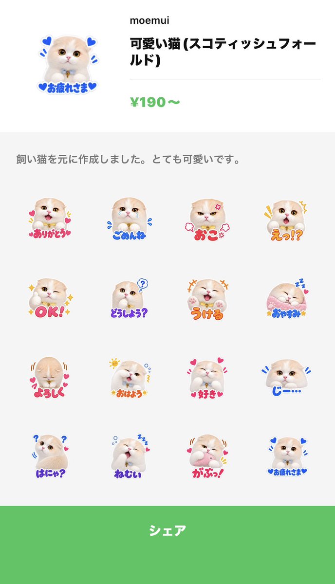 mui0117's tweet photo. スタンプ作りました🐱
良かったら使ってください！
https://t.co/ACnYNIqlqC
#猫 #猫スタンプ #LINEスタンプ #スコティッシュフォールド https://t.co/gHuC3CpwQG