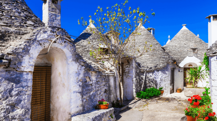 deepnaturetur's tweet photo. İtalya’nın büyüleyici güneyi: Puglia

Alberobello’nun trulli evlerinden Matera’ya, Lecce’den Ostuni, Polignano a Mare ve Bari’ye uzanan özel bir rota.

📅 26–31 Ekim 2026
✈️ THY | 🏨 4★ oteller
💶 3 akşam yemeği dahil
#Puglia #İtalya #DeepnatureTravel

https://t.co/M4tYMjXPAt https://t.co/VQbuRi7I0y