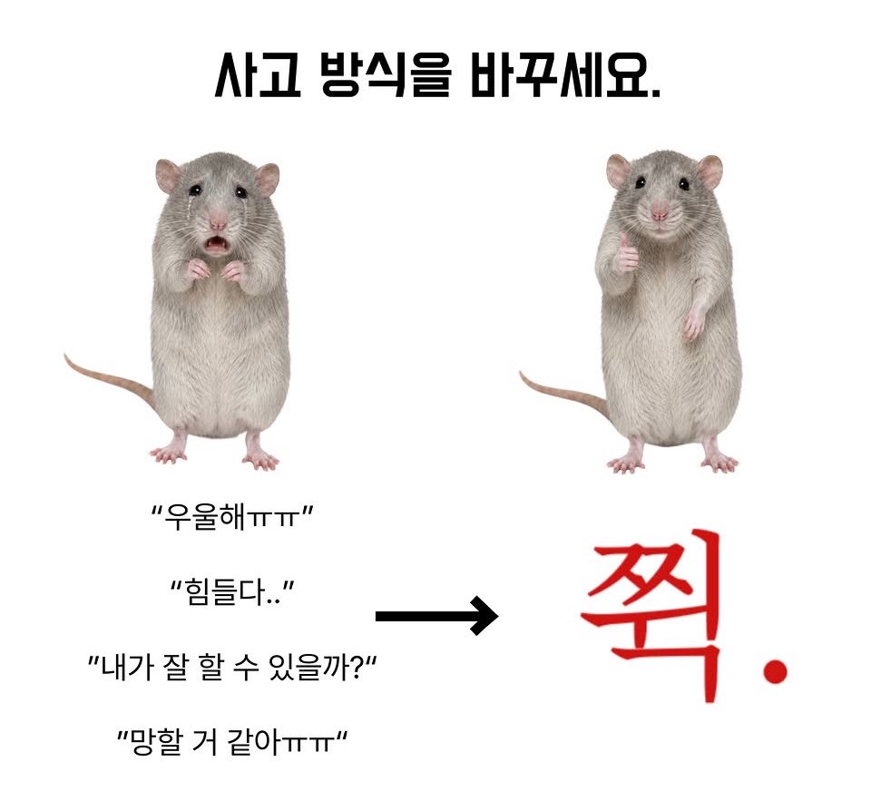 hyeishye's tweet photo. 쮝 https://t.co/d4bfpo094S
