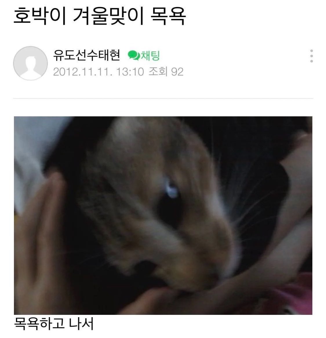 ilovetaehyvn's tweet photo. 호박이 겨울맞이 목욕

👤: 지금보네.. 햄스터 키워서 좋겠다. 
유도선수태현: 고양이야 https://t.co/br1SMV1Q9L
