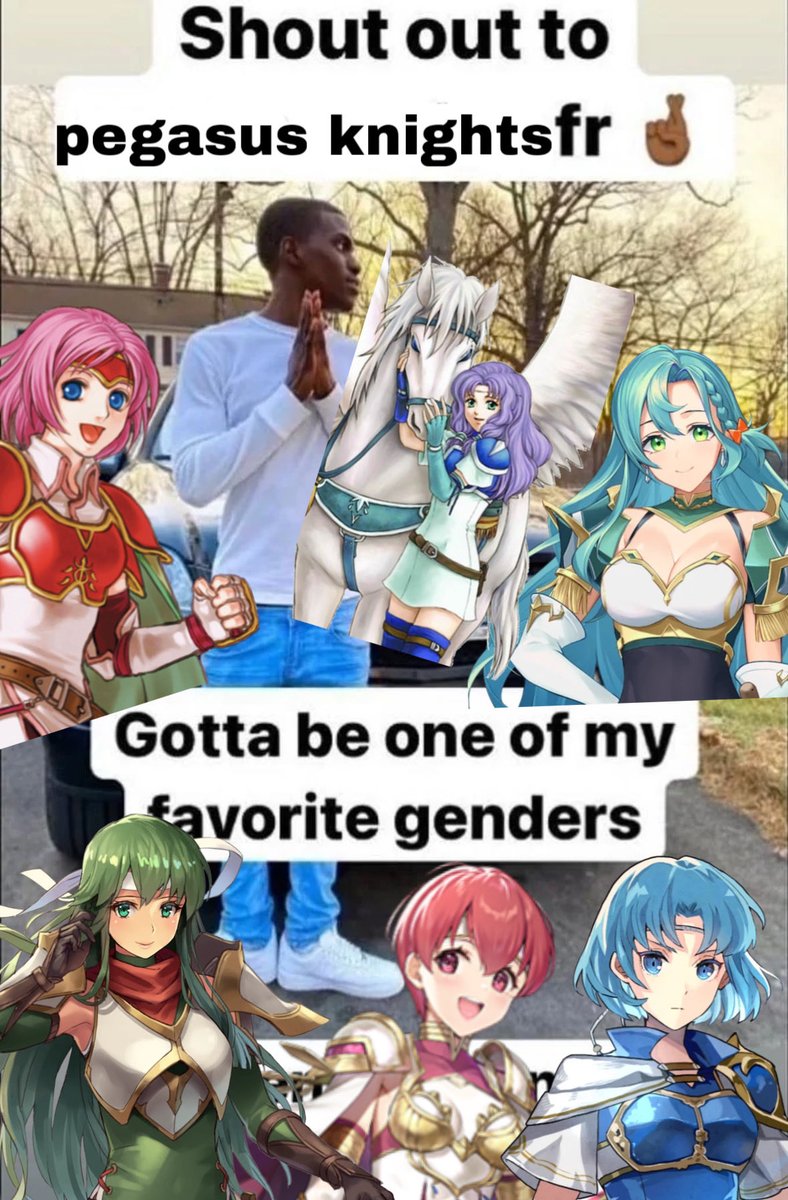 cantoctrl's tweet photo. I LOVE PEGASUS KNIGHTS https://t.co/HjvkxiDj9N
