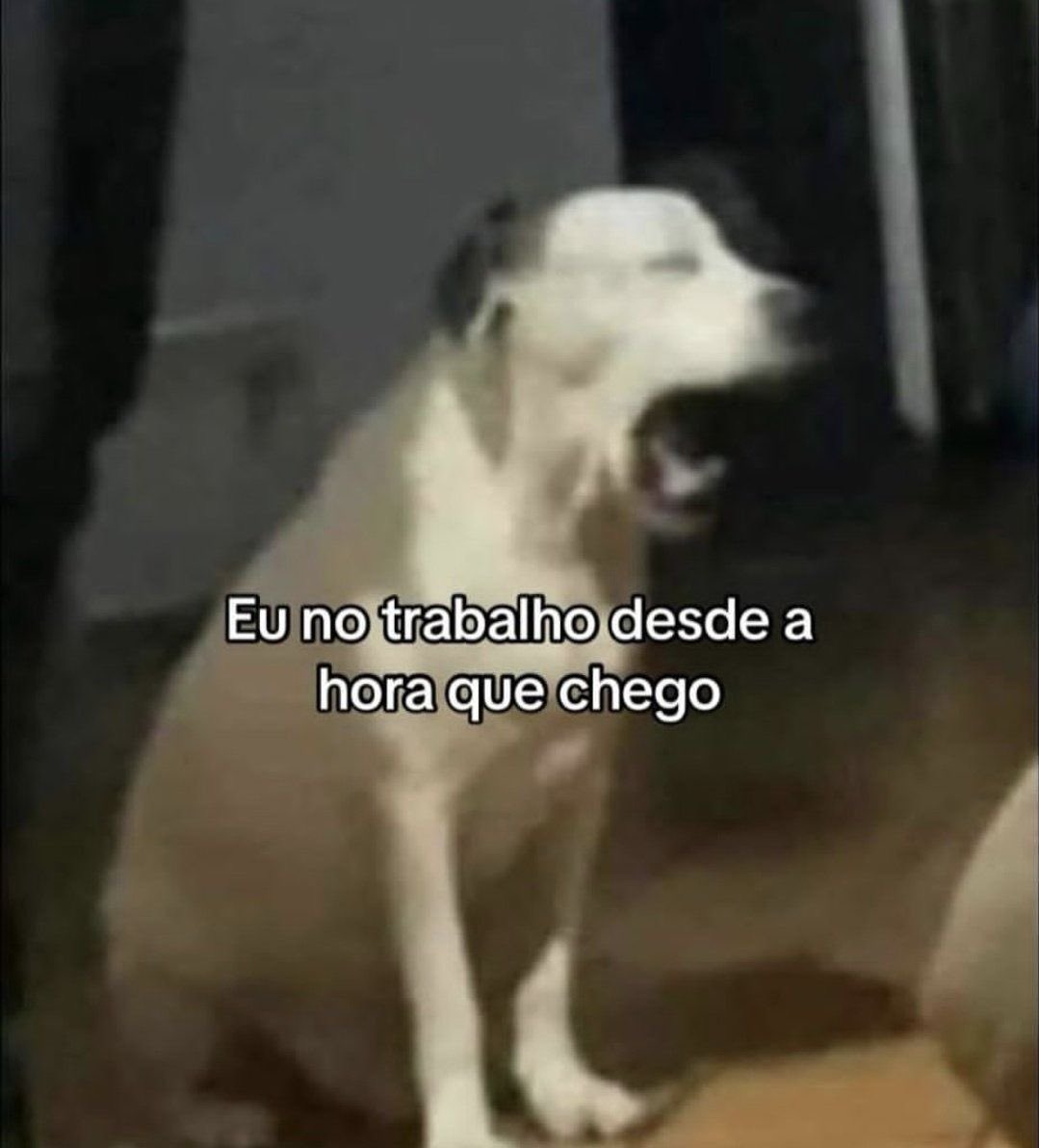 shitpostverdade's tweet photo. https://t.co/T1WJpzUGq1