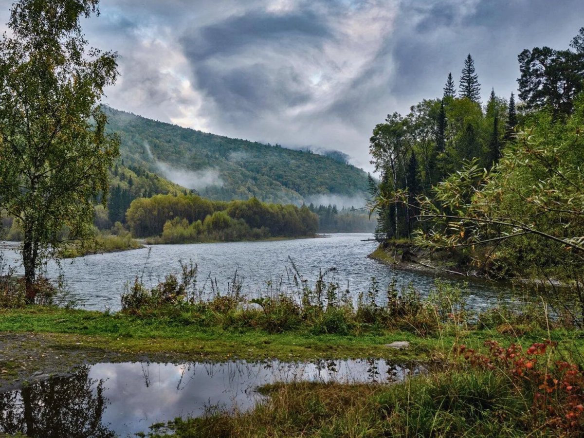 Lora020563's tweet photo. Россия. Саяны. Река Она. Начало осени…

Река Она и Саянская тайга в начале осени - одно из самых живописных сочетаний дикой природы Сибири.
Эта река протекает по территории Хакасии (правый приток реки Абакан).
Начинаются первые заморозки, ночью температура опускается ниже нуля. https://t.co/xVM09DgTtW