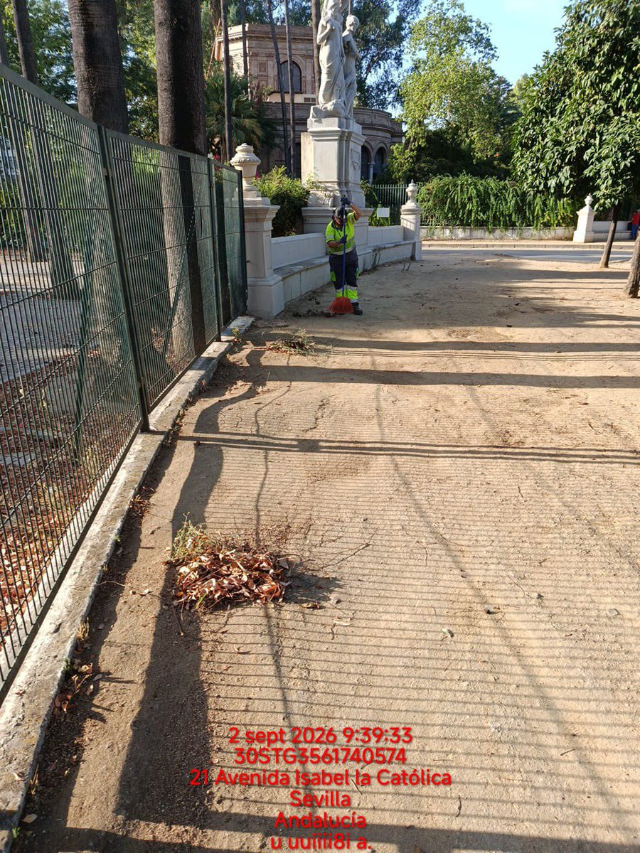 Dto_Sur's tweet photo. 🍂🧹 Seguimos trabajando en la limpieza y mantenimiento de nuestros barrios.
Actuaciones en Plaza América, Plaza Aviador Ruiz de Alda, Doctor Gabriel Sánchez de la Cuesta, Fox Morcillo y Cerro Muriano.
💪 Trabajo diario en el #DistritoSur.
#SevillaEstáEnMarcha https://t.co/rq0EZIcgiJ