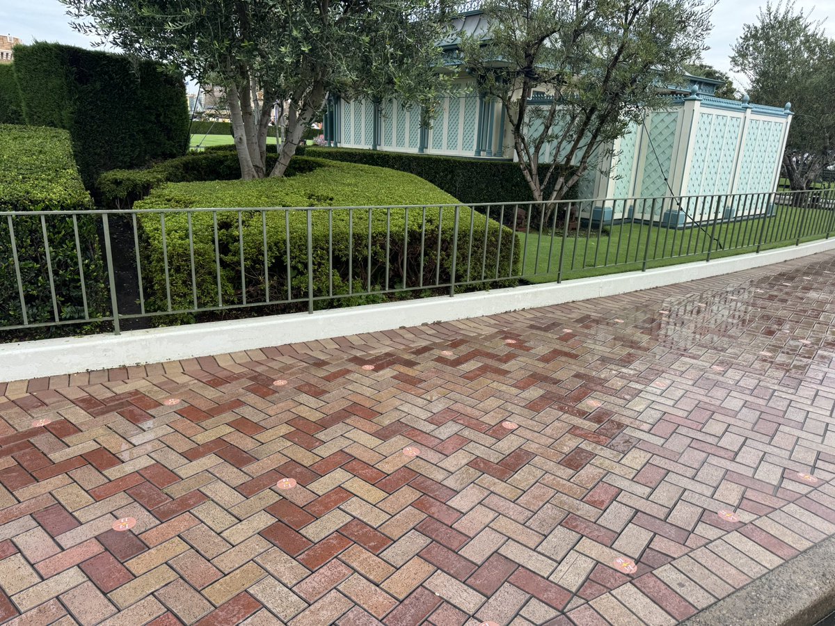 yufy_disney's tweet photo. ハブイン側のDPAエリアになるところ
ベンチ撤去されて座り3列目まで！ https://t.co/m1OU0MlYDY