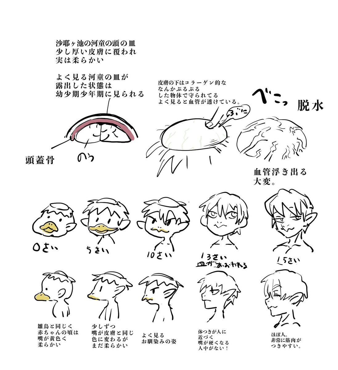 oshirimarsh's tweet photo. 河童族に凝っていた時期がありましてね https://t.co/Umt9n0pmG9