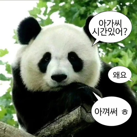 Yuri_P248's tweet photo. @Saze_Kinto https://t.co/I3xBCGYwfP