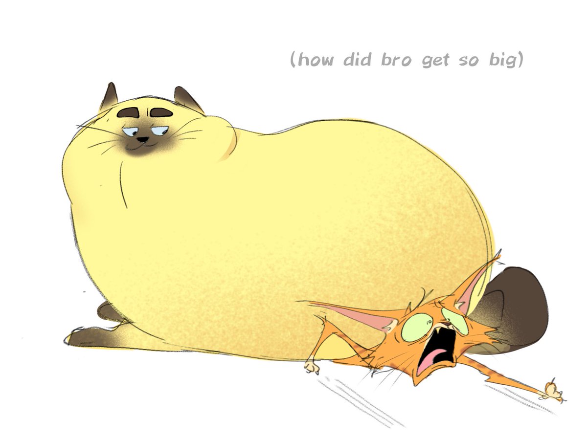carrowthearrow1's tweet photo. ginger cat firey #bfdi #osc #osctwt #firey #coiny https://t.co/1kAAGjy5B8