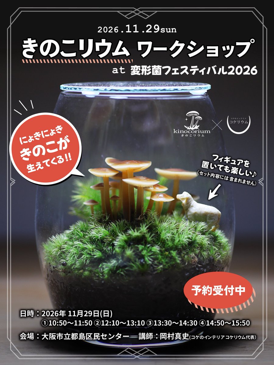 kokerium_rium's tweet photo. 2026年11月29日(日)に【変形菌フェスティバル2026】できのこリウムのワークショップを開催します🍄
作り方はもちろん、日々の管理方法まで細かくレクチャーさせていただいておりますので初心者の方でも安心して受講いただけます🔰

ご予約ページと詳細はこちらから🔻
https://t.co/6kFzzoaPFc https://t.co/soprpuKJsf