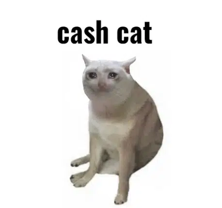 thebearsol's tweet photo. WE GOT THE NEXT CASHCAT WITH 1.3M VIEWS IN 8 HOURS

This little cat is going EXTREMLY viral on X rn for crashing and being HELLA injured

Toly has been FUDDING TF outta robin hood, hes betting on the cashcat CRASHING

Maybe this cat will fufill the prophecy.

https://t.co/C4iHL5rF6s