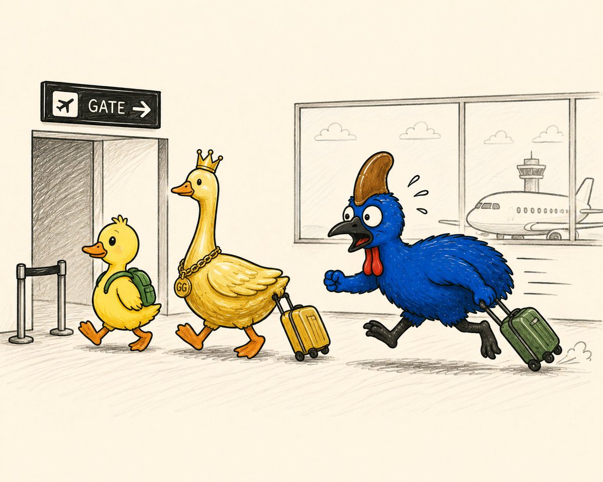 Robin_Cassowary tweet picture