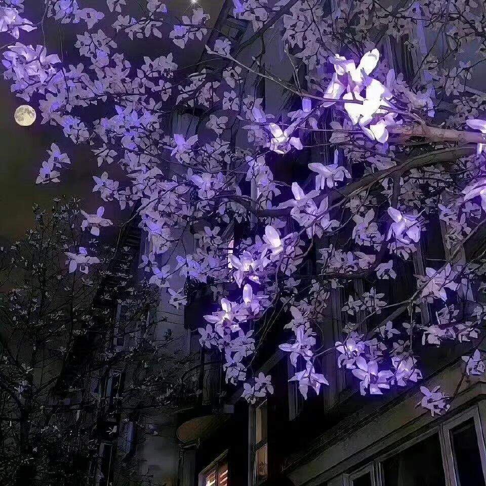 BrightLynxaybu's tweet photo. Lost in a night under the stars this evening — this is the simple life I love. Wrapped up in a nap in the sun lately — I'm learning to enjoy the ordinary. https://t.co/Bn8OQqSSUq