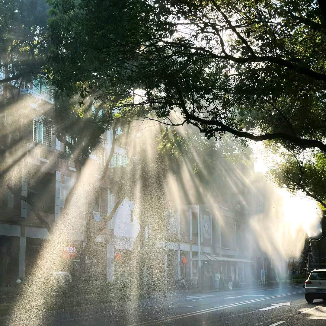 IndriSulis8's tweet photo. Just had an early bike ride this evening — this made my whole week. Obsessed with the smell of rain this weekend. Everything feels right. #cozyvibes #selfcare #simplepleasures https://t.co/oFgU5IKnEi