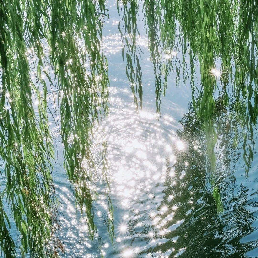 CoolSnake9vk's tweet photo. Today was all about golden hour light tonight — this is the simple life I love. Making memories, one moment at a time. taking a moment for a quiet walk these days. https://t.co/nIn34nVd5n