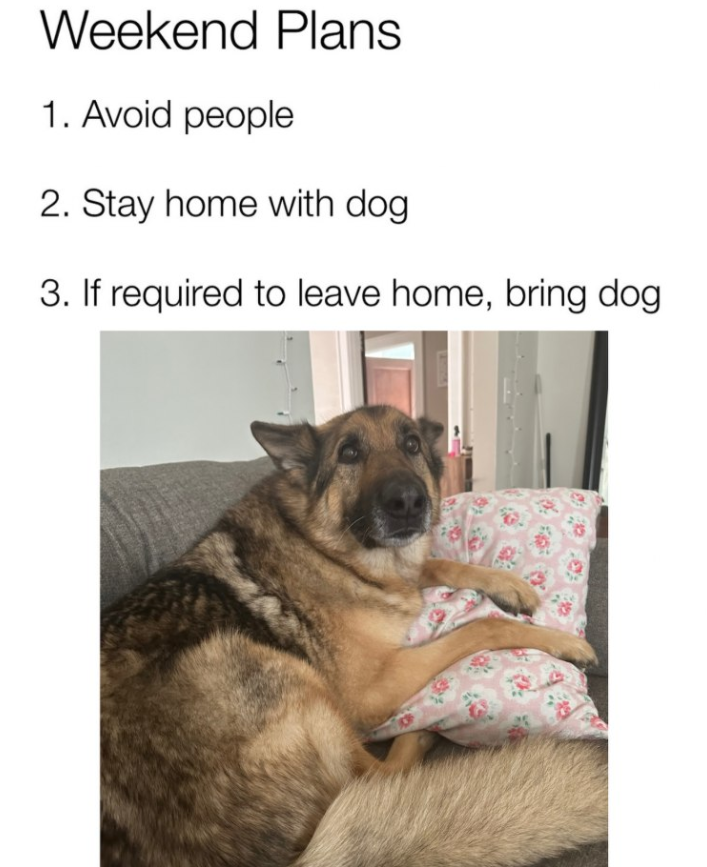 TweeetsOfDogs's tweet photo. https://t.co/OMgi8QbmDO
